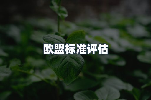 欧盟标准评估