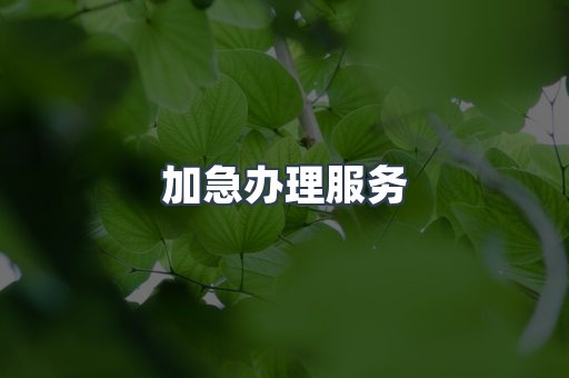 加急办理服务